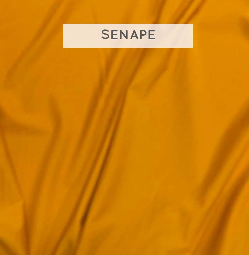 Special - Colori 2026 - immagine 11